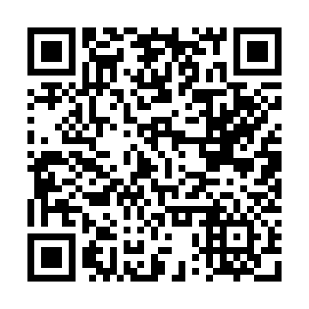QR code for plate DPQ 336