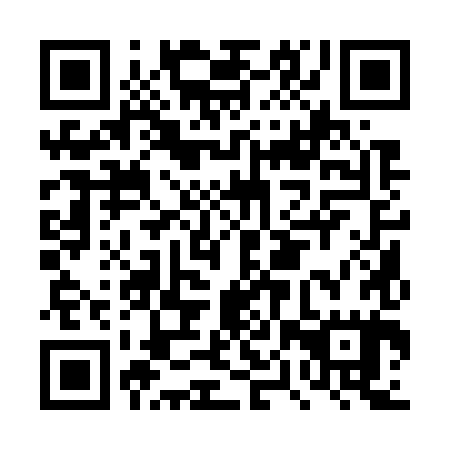 QR code for plate DPQ 785