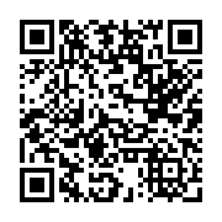 QR code for DPR381