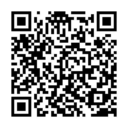 QR code for plate DPR 878