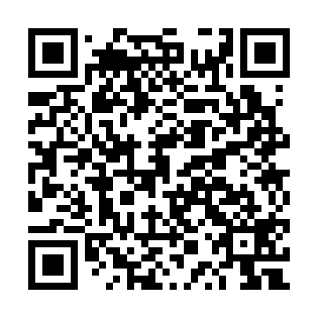 QR code for DPS 319