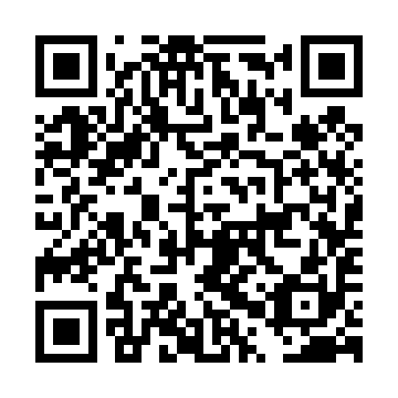 QR code for DPS 490