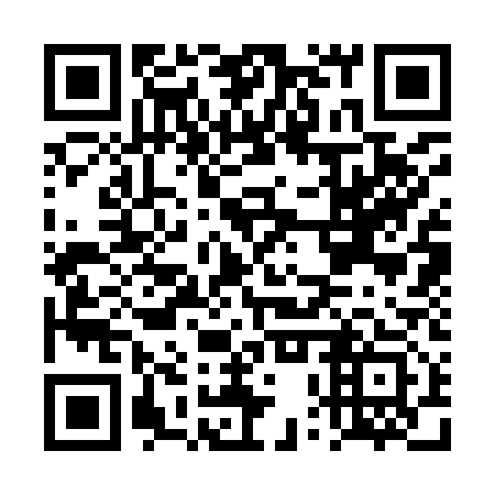 QR code for DPS913