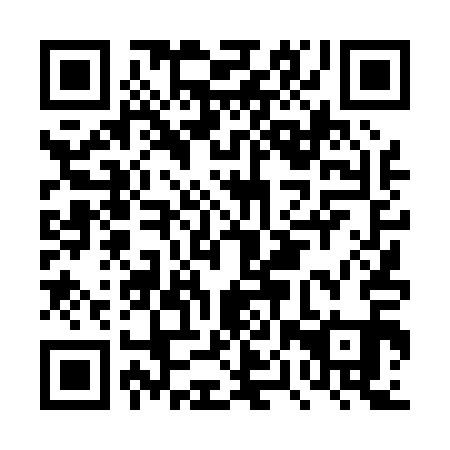 QR code for DPT011