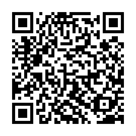 QR code for plate DPT 509