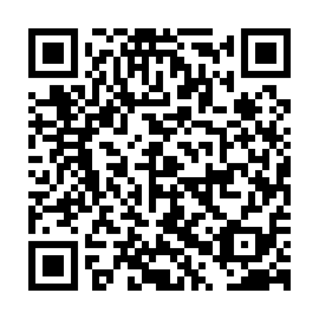 QR code for plate DPU 119