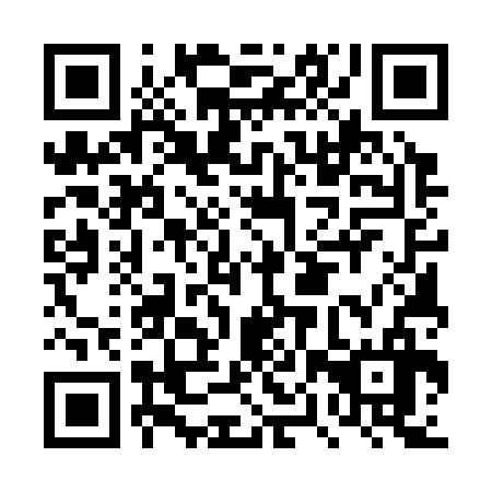 QR code for DPU336