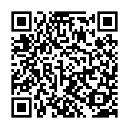 QR code for plate DPV 249