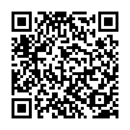 QR code for plate DPV 318