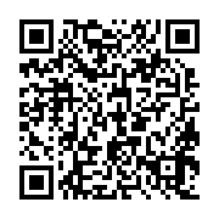QR code for DPW 298