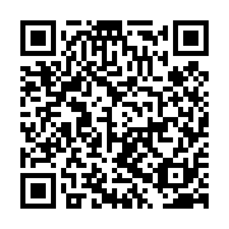 QR code for DPW 411