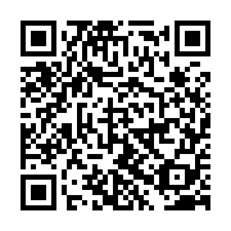 QR code for DPW959