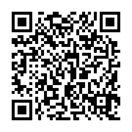 QR code for DPY 384