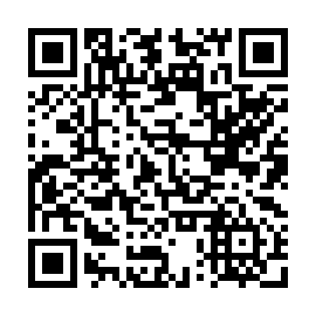 QR code for DPZ 294