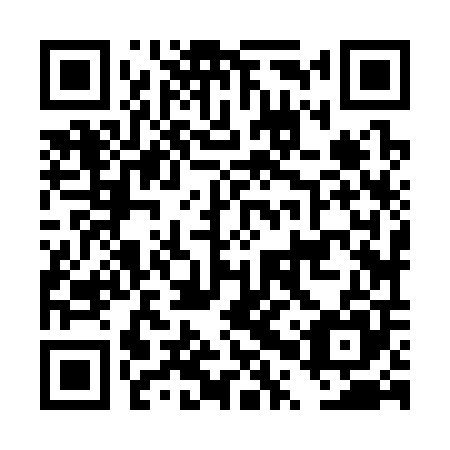 QR code for DPZ 305