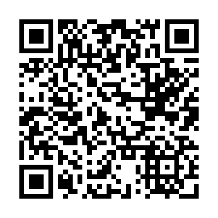 QR code for DPZ 729