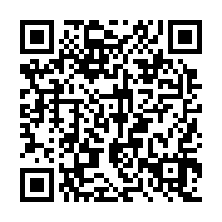 QR code for DPZ317