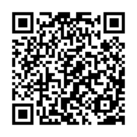 QR code for DQ 0095