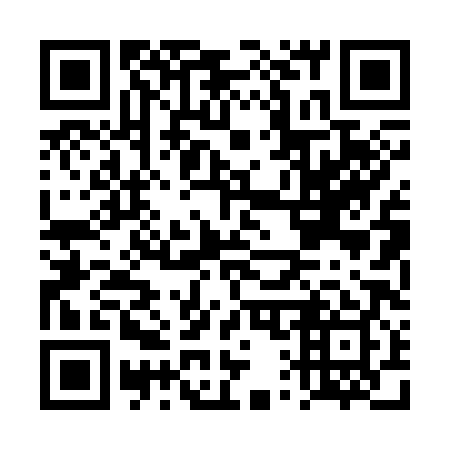 QR code for DQ 0389