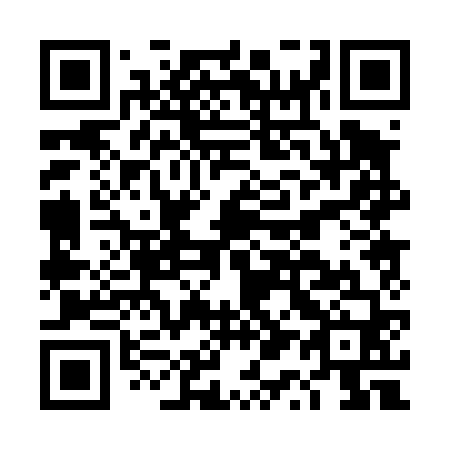 QR code for DQ 0460