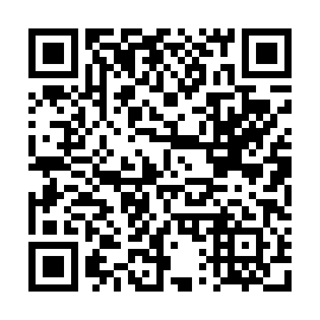QR code for DQ 0481