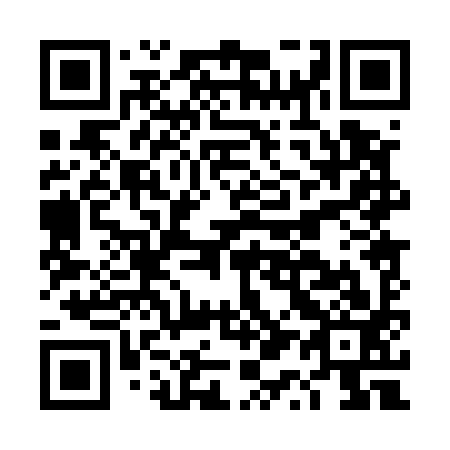 QR code for DQ 0593