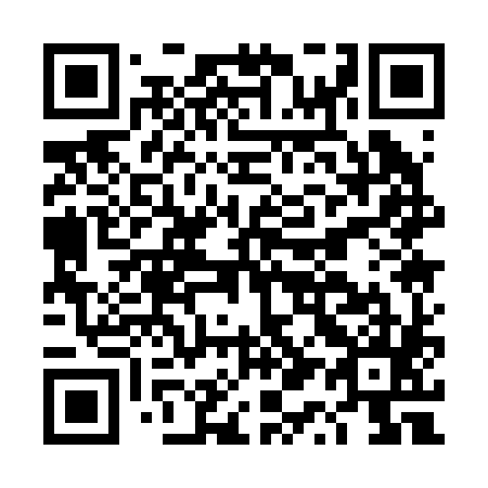 QR code for DQ 1285