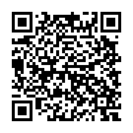 QR code for DQ 4007
