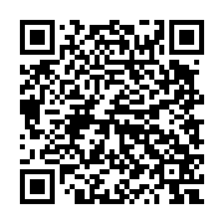 QR code for DQ 4463