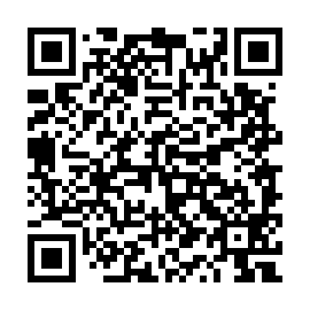 QR code for DQ 4599