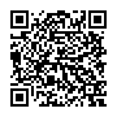 QR code for DQ 8533