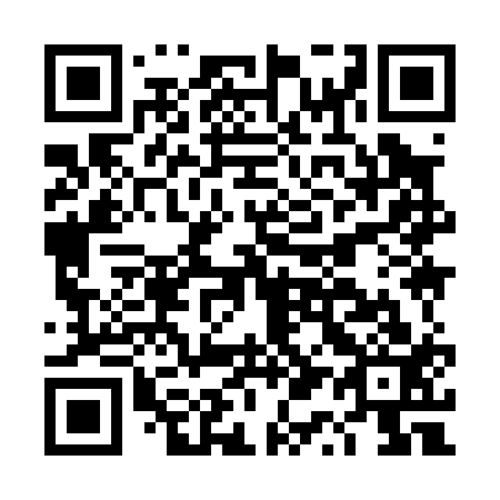 QR code for DQ 9013