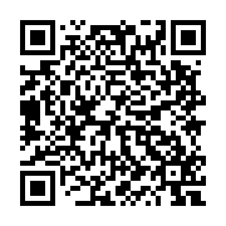 QR code for DQ 9517