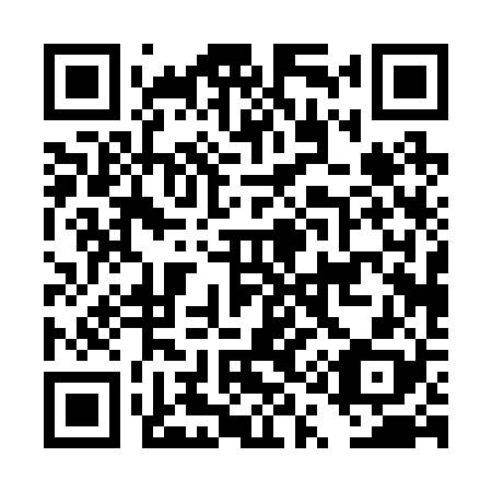 QR code for DQ0228
