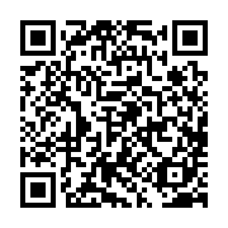 QR code for DQ0381