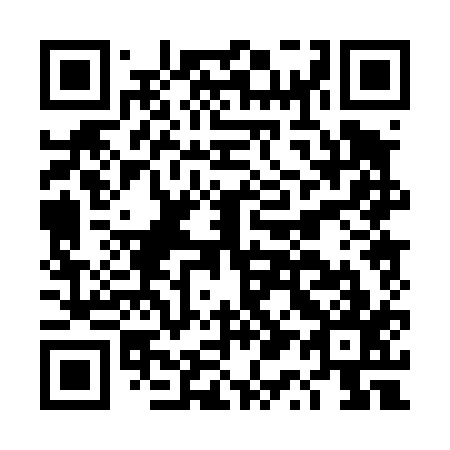 QR code for DQ0417
