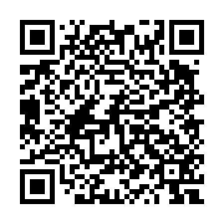 QR code for plate DQ 0453