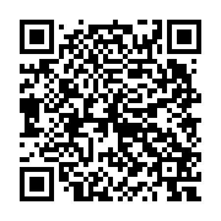 QR code for plate DQ 0603
