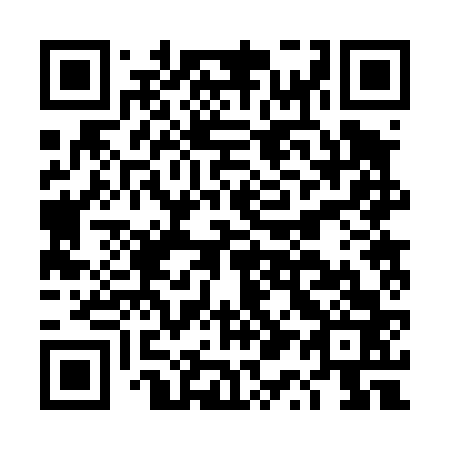 QR code for DQ2463