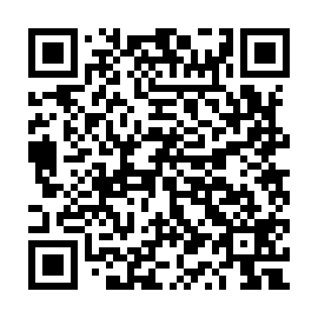 QR code for plate DQ 2919