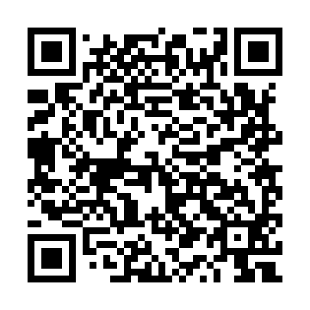 QR code for DQ2992