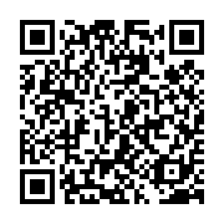 QR code for DQ3411