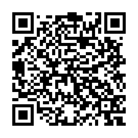 QR code for DQ3533