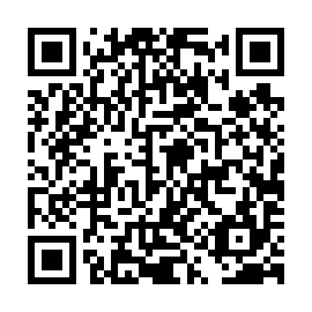 QR code for plate DQ 4694