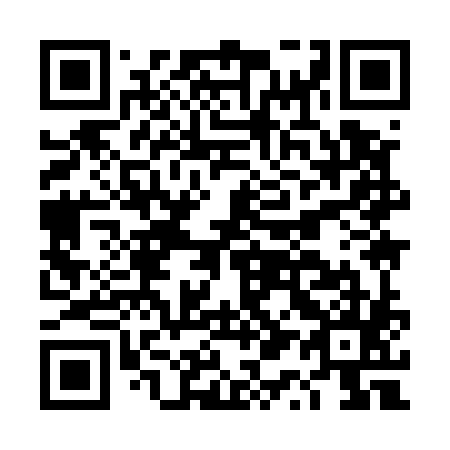 QR code for DQ9585