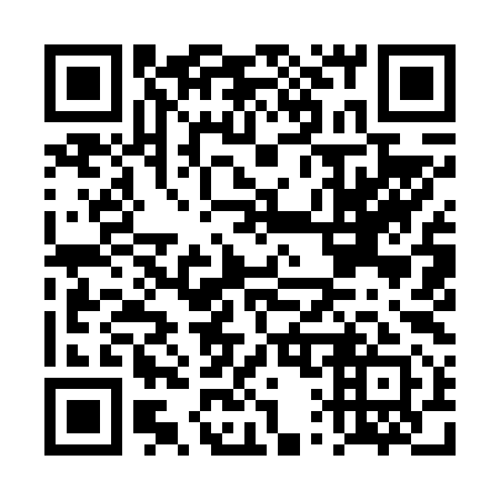 QR code for DQ9691