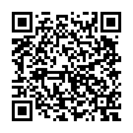 QR code for DQA 411
