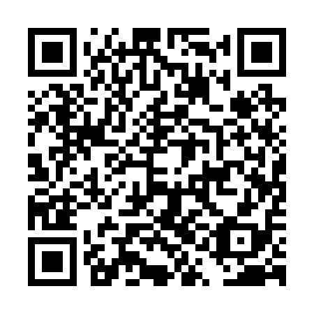 QR code for DQA218