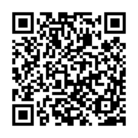 QR code for DQB 463