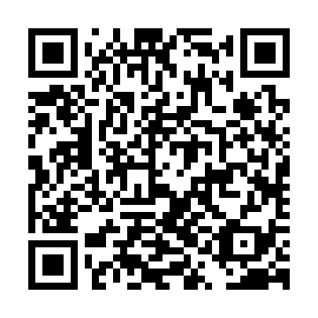 QR code for plate DQB 339